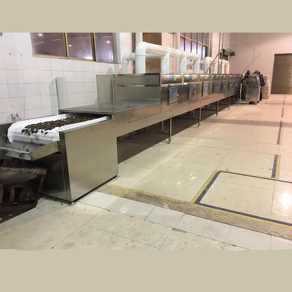 檳榔微波烘干殺蟲設備